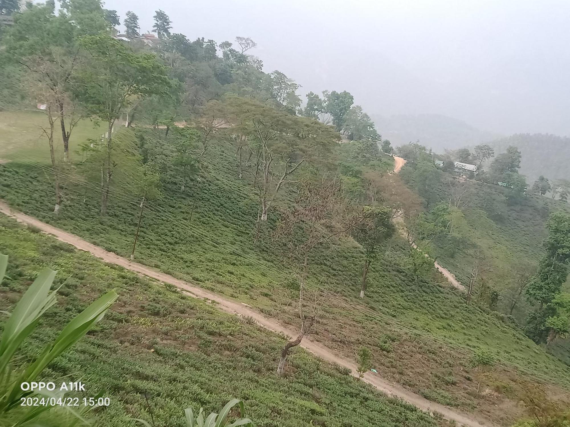 Dsd Bomzon Homestay Darjeeling  Exterior photo